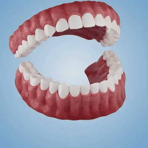 Limited-time sale is about to end! ⏰Pryxo™ Medical Full Denture with Strong Suctiond🦷Obtain American Dental Association (ADA) Certification